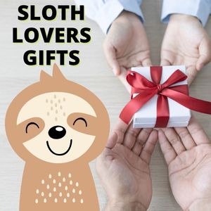 Gifts For Sloth Lovers (1)