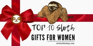 Top 10 Sloth Gifts For Women 2019 - Sloth Gifts For Her 2019
