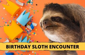 Birthday Sloth Encounter By Kristen Bell