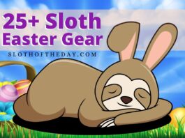 Amazing Sloth Easter Gear Ideas for Sloth Lovers