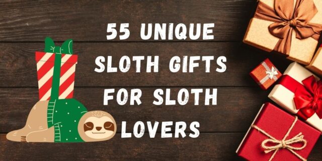 55 Unique Sloth Gifts For Sloth Lovers