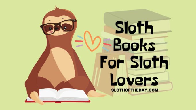 Sloth Books For Sloth Lovers Feature