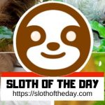 Fuchsia Sloths and Dogs Make Me Happy Shirt