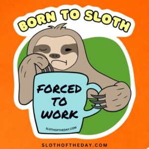 Born To Sloth Forced To Work Vinyl Sticker Sloth of The Day