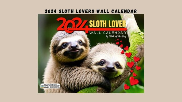 Sloth Lovers Wall Calendar by Sloth of The Day