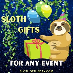 Cool and Unique Sloth Lover Gifts