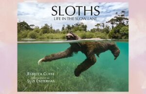 Sloths Life in the Slow Lane Hardcover Book